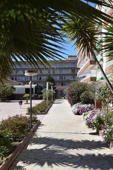 Alegre Apto Con Piscina, A 300M De La Playa. ブラナス エクステリア 写真