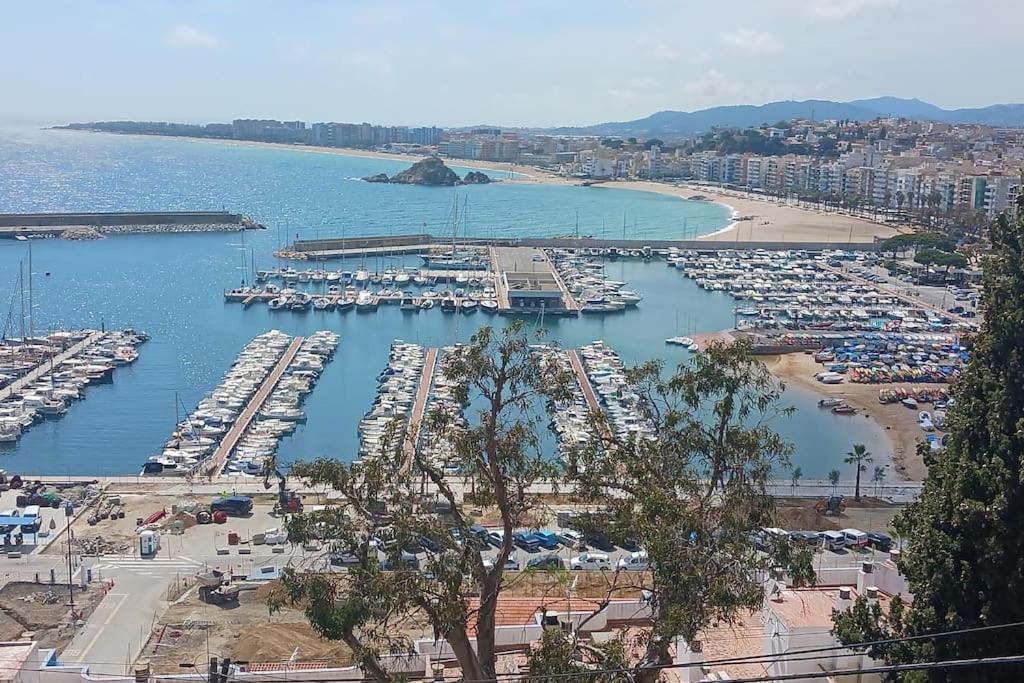 Alegre Apto Con Piscina, A 300M De La Playa. ブラナス エクステリア 写真