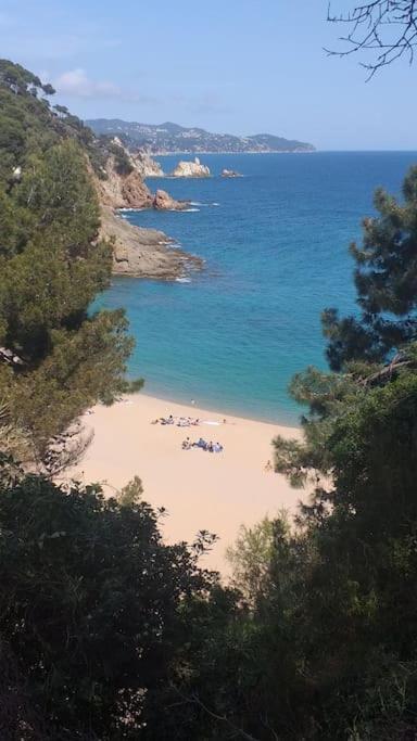 Alegre Apto Con Piscina, A 300M De La Playa. ブラナス エクステリア 写真