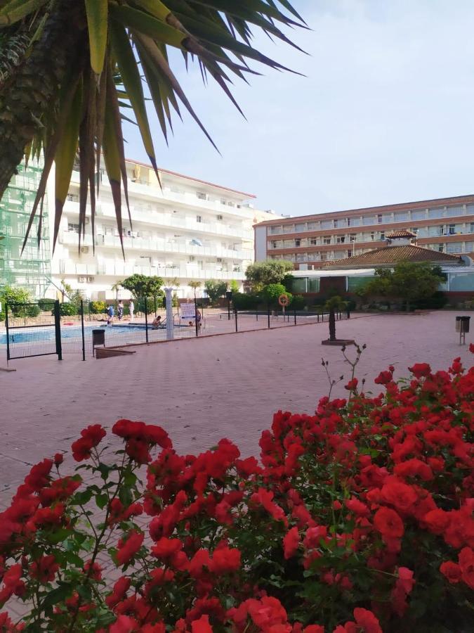 Alegre Apto Con Piscina, A 300M De La Playa. ブラナス エクステリア 写真